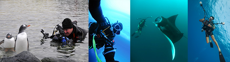 Tony in Antactica and Tony photographing Manta in Maldives